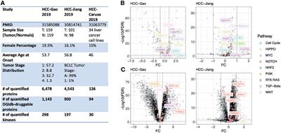 Proteomic Analyses Identify Therapeutic Targets in Hepatocellular Carcinoma